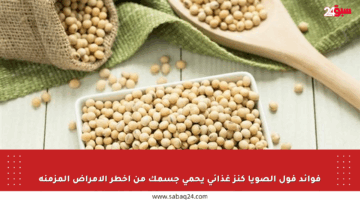 فوائد فول الصويا كنز غذائي يحمي جسمك من أخطر الأمراض المزمنة